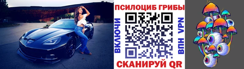 Псилоцибиновые грибы прущие грибы OMG ссылки Пионерский
